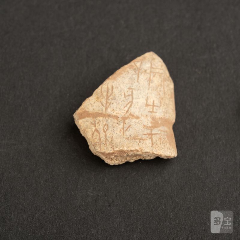    甲骨文片十點 - 图3